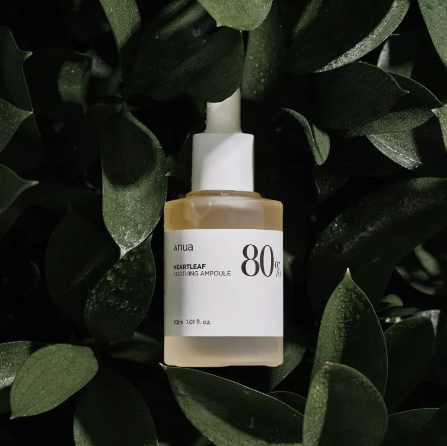 Anua - Heartleaf 80% Soothing Ampoule